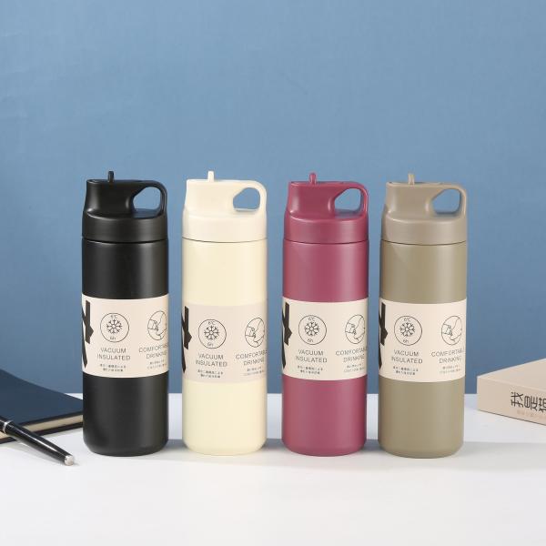 Wholesale Of Cross-border Japanese 304 Stainless Steel Insulated Tumbler Spout Type Sports Water Cup Simple And Portable Sports Water Bottles