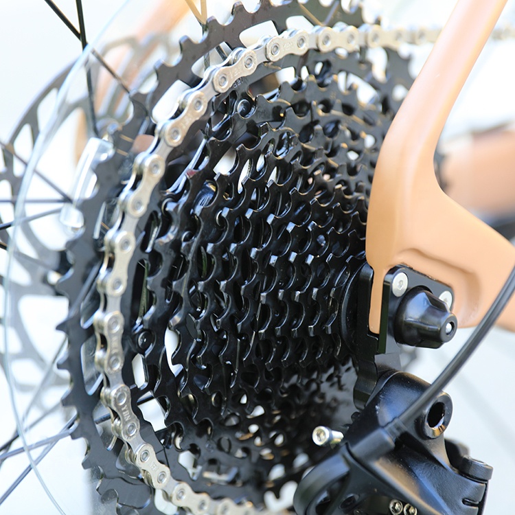 29 Inch MTB Mountainbike Carbon Fibre Hard Frame Mountain Bike Speed Bicicletas