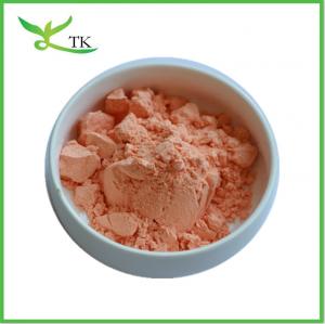 China Food Grade Fruit And Vegetable Powder Pure Natural Pigment Bulk Carrot Powder Spray Dried Carrot Juice Powder wholesale