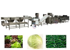China Lettuce Vegetable Processing Machinery Leafy Vegetable Processing Line wholesale