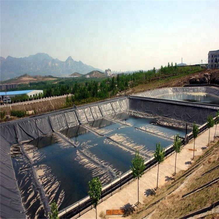 2m-8m Width HDPE Dam Liners 1mm Geomembrane Liner for Aquaculture Fish Farm Sale