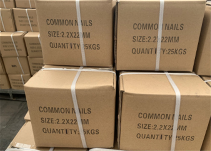 5" length 25kgs In Carton Galvanized Common Nails