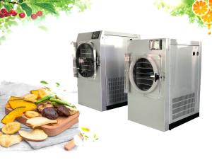 China Light Weight Mini Freeze Dryer Machine For Fruits Vegetables wholesale