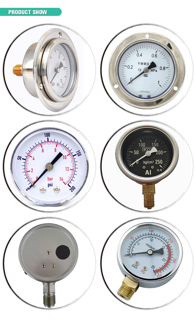 No Oil Stainless Steel Pressure Gauge Back Mounting OEM Customized