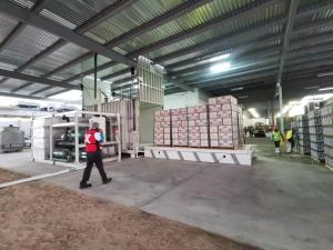 China Fresh vegetable/mushrooms/flowers vacuum cooling machine(1-24pallets) wholesale