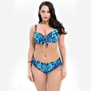 China Plus Size Two piece Swimsuit print flower Swimsuit Women Push up 1928 wholesale