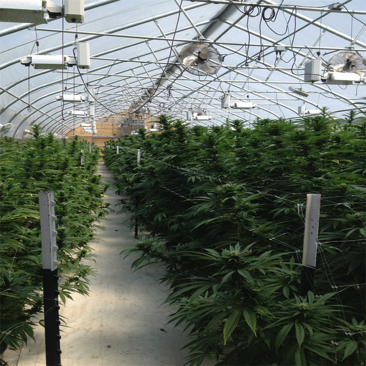 Irrigation System Automated Blackout Greenhouse With Rectangle Pipe
