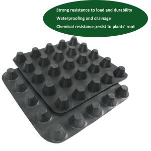 China 30mm HDPE Dimpled Drainage Membrane Green Roof Drainage Board wholesale