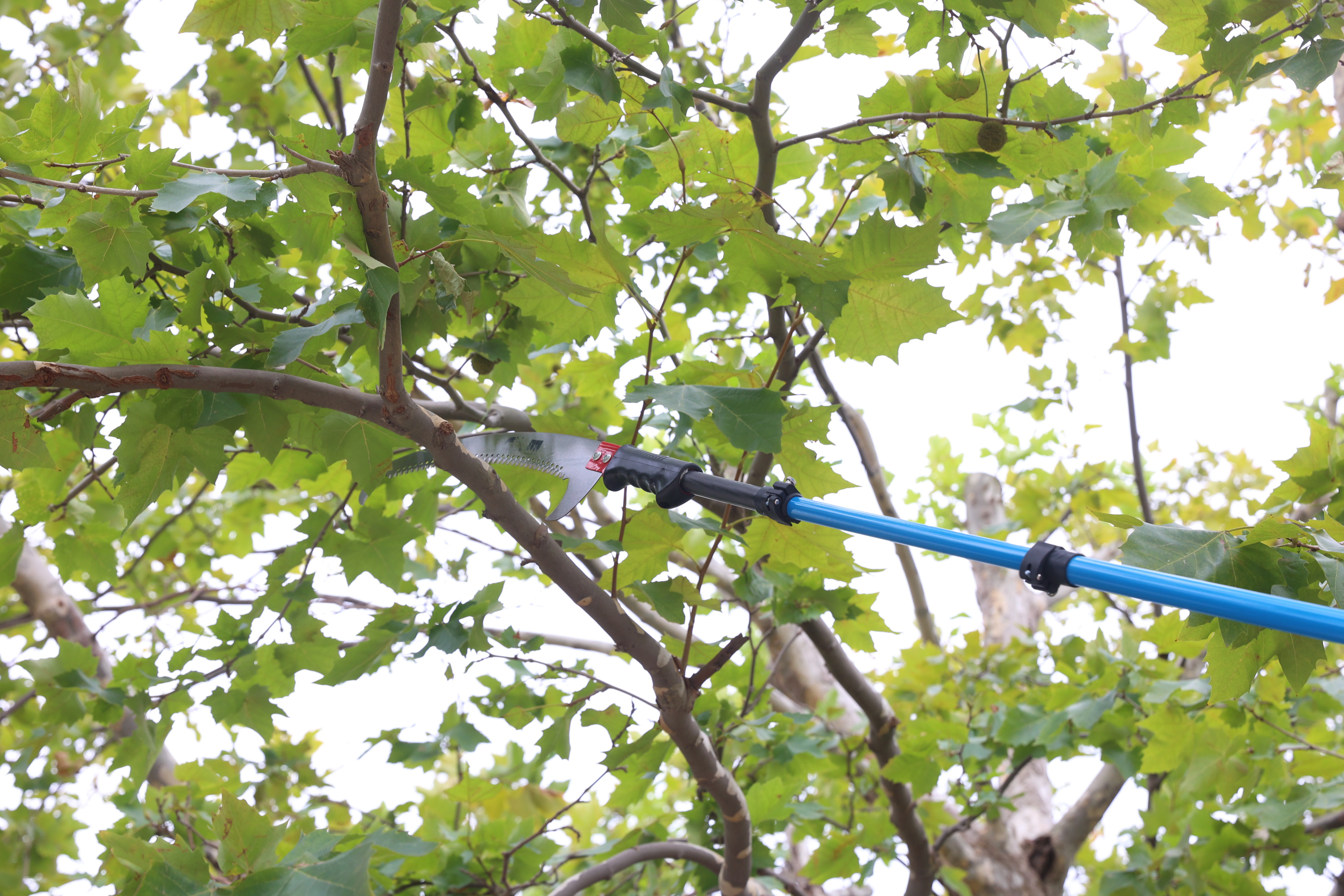 60ft 70ft 80ft Telescopic Harvest Pole Carbon Fiber Extension Saw Pole 15m 18m 21m