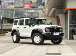 Gasoline Great Wall Tank 300 Four Wheel Drive Off Road Vehicle
