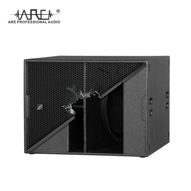 ARE AUDIO dual 12 inch high-performance outdoor line array speaker systems for open-air concerts