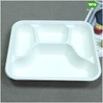 Biodegradable Sugarcane Pulp 3-Compartment Food Box-High Quality Plant Fiber