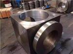 Alloy 825 Incoloy 825 N08825 2.4858 NS142 WN SO Blind flange forging disc ring