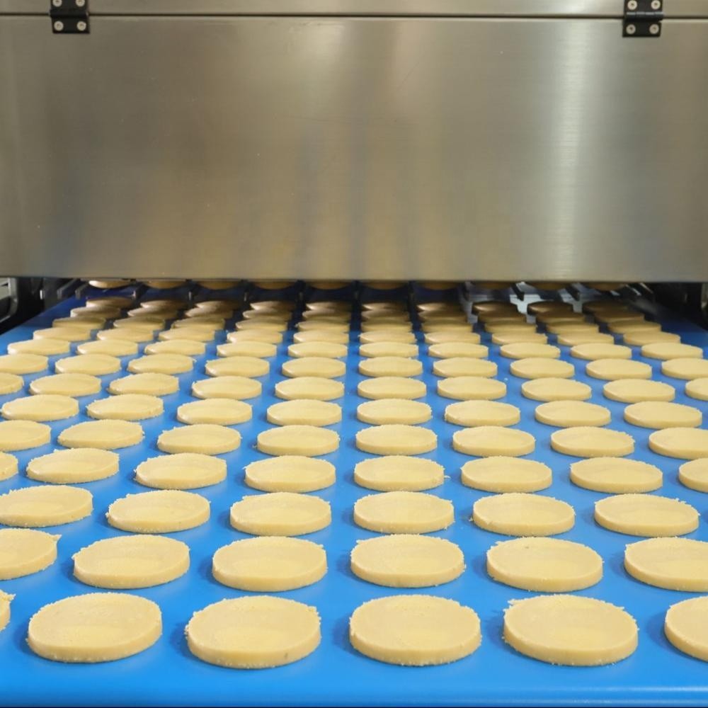 Automatic Tray Type Cookies Making Machine Plc Control Cutter And Deposit Cookie