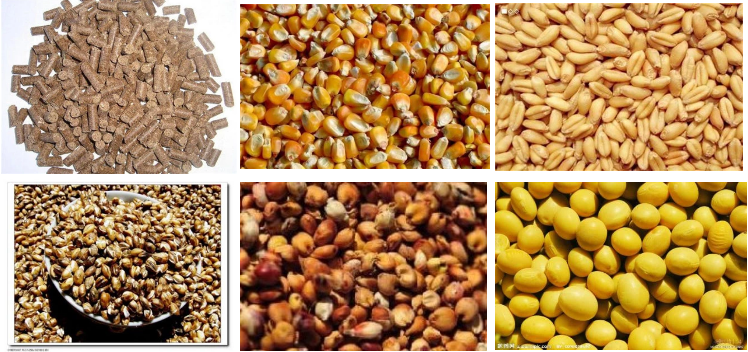 Pp Woven Bag Pellet Filling Machine Feeds Bagger 50kg Price Feed Packaging Equipment For Sale