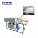 High Quality Vegetable Blanching Machine Vegetable Ozone Washing Machine Canned