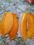 Heat Pump Dryer for drying mango