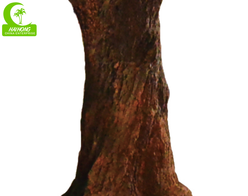 OLIVE TREE