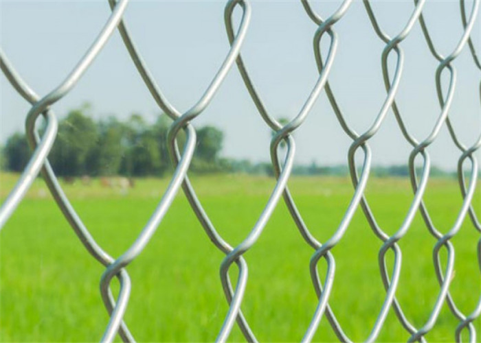 6ft Galvanized Chain Link Fence