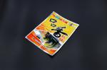 Resealable Vacuum Biodegradable Plastic Bags For Frozen Food Seafood Packaging