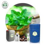Cas 68917 18 0 Wholesale Bulk Peppermint Essential Oil For Cosmetics/Massage