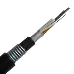 G652D 250um Fiber Outdoor Armored Fiber Optic Cable GYTA53 48 Core