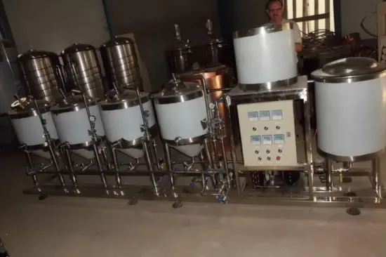 450 KG Mini Beer Brewing Equipment for Alcohol Processing Types in Small Size