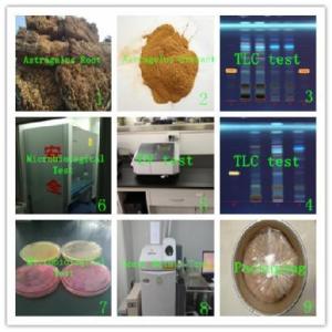 China SALE! manufacture Astragalus Extract Polysaccharide 50% top quality, enhance immunity , 100% natural, for poultry produ wholesale
