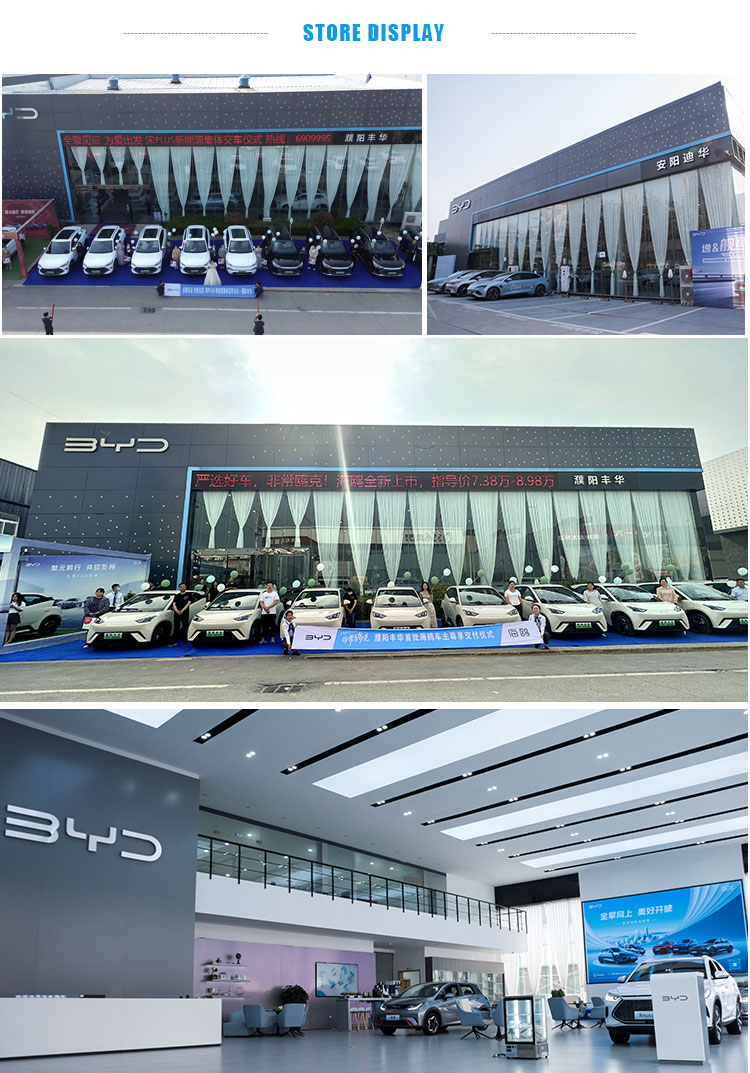 Plug In Hybrid BYD Qin EV Champion Edition 7 Seater EV