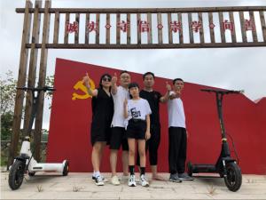 China Brushless Motor Electric Balance Scooter wholesale