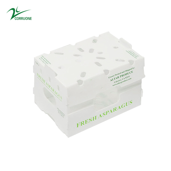 2mm 3mm Asparagus Folding Corrugated Plastic Boxes Polypropylene PP