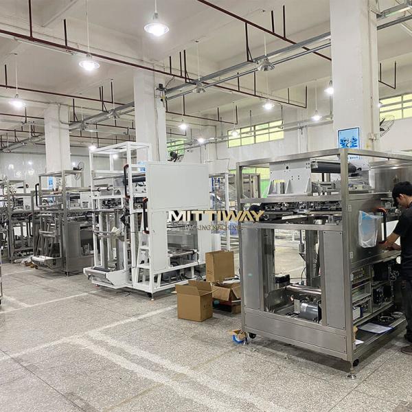 Custom Automatic Bag Inserter Packaging Type With PLC Control System