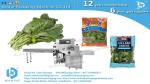 Bestar horizontal packing machine for vegetables