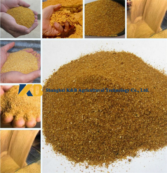 Raw Corn High Protein Powder Rich Nutrition For Shrimp Breed Aquatics