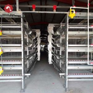 China 5000 Birds Broiler Poultry Cage Farm Hot Dip Galvanized Battery H Frame Farm Chicken wholesale