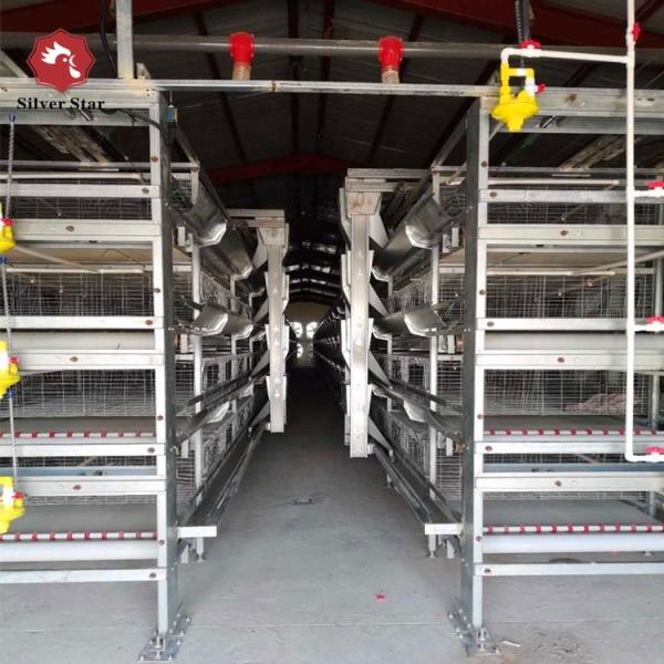 5000 Birds Broiler Poultry Cage Farm Hot Dip Galvanized Battery H Frame Farm
