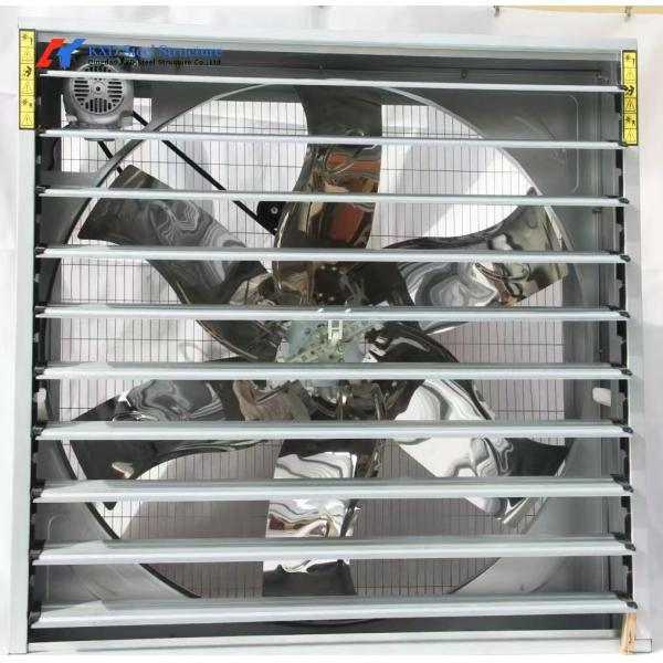 Fully Automatic Animal Feeders Plastic Chicken Feeders And Drinkers