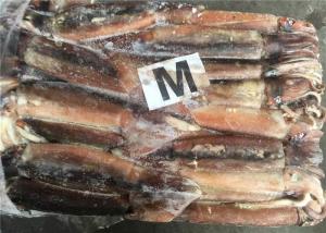China 250g Fresh Frozen Squid wholesale