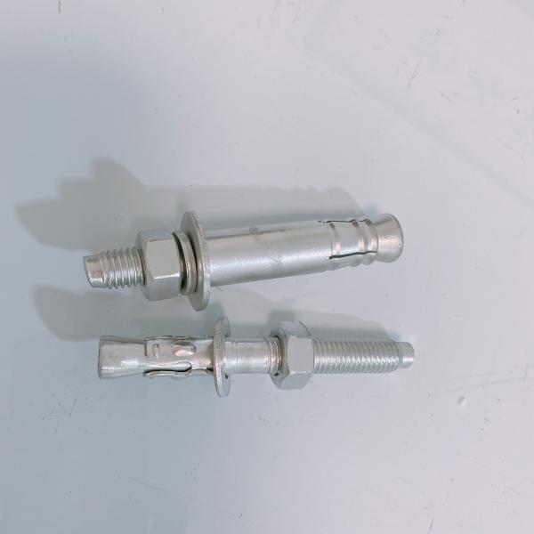 304 316 Stainless Steel Expansion Anchor Bolt Wedge Anchor M10 M12 Concrete
