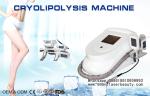 Portable Coolsculpting Cryolipolysis Slimming Machine , Cryotherapy Fat Freezing