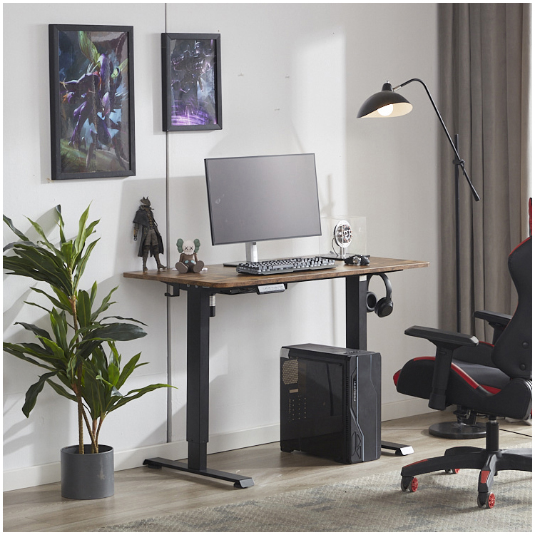 Large Panel Ergonomic Electric Lift Desk Height Adjustable Single Motor Modern Design