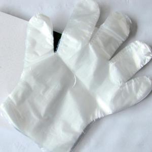 China Disposable Thin Plastic Gloves Clean Health Waterproof For Household wholesale