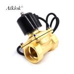 1Mpa 2A Series Underwater Solenoid Valve 24VAC 24VDC 110VAC IP68 2" Low Pressure