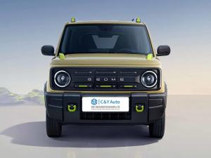 China Geely Panda Small Electric Mini SUV EV Vehicle 210km Range wholesale