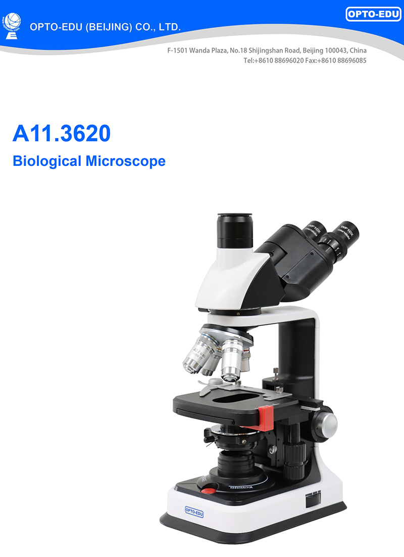 OPTO-EDU A11.3620 Trinocular Biological Microscope