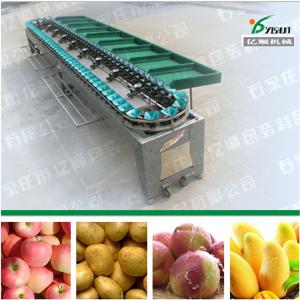 China Mango grading machine YSXD--66-8-86 wholesale