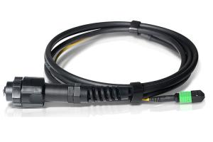 China Waterproof ODVA SM MM MPO MTP Cable 8F 12F 24F MPO Fiber Optic Cable Assemblies wholesale