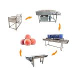 Hot selling Factory Direct Vegetable Washing Machine Industrial by Huafood