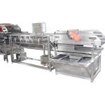 Diced Onions 2000kg/H Fruit Vegetable Washing Machine