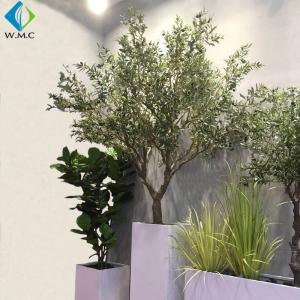 China Fiberglass Trunk Artificial Olive Tree 2.5m Height 5-10 Years Life Time wholesale